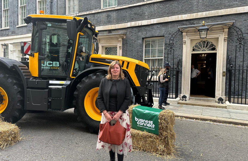 Cherilyn Mackrory MP at Downing Street for the Food to Fork Summit